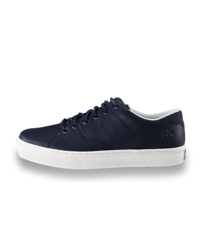 Timberland Sneaker