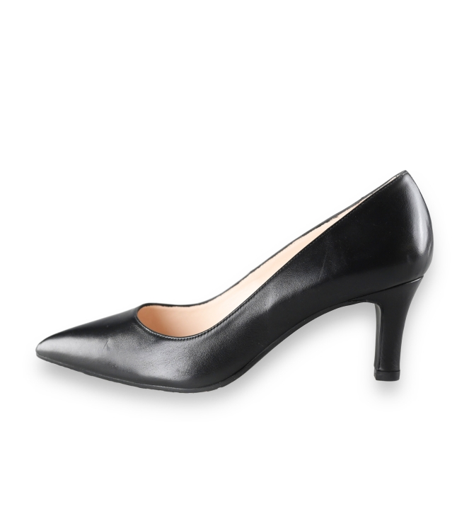 Lodi pumps