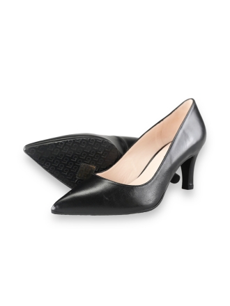 Lodi pumps