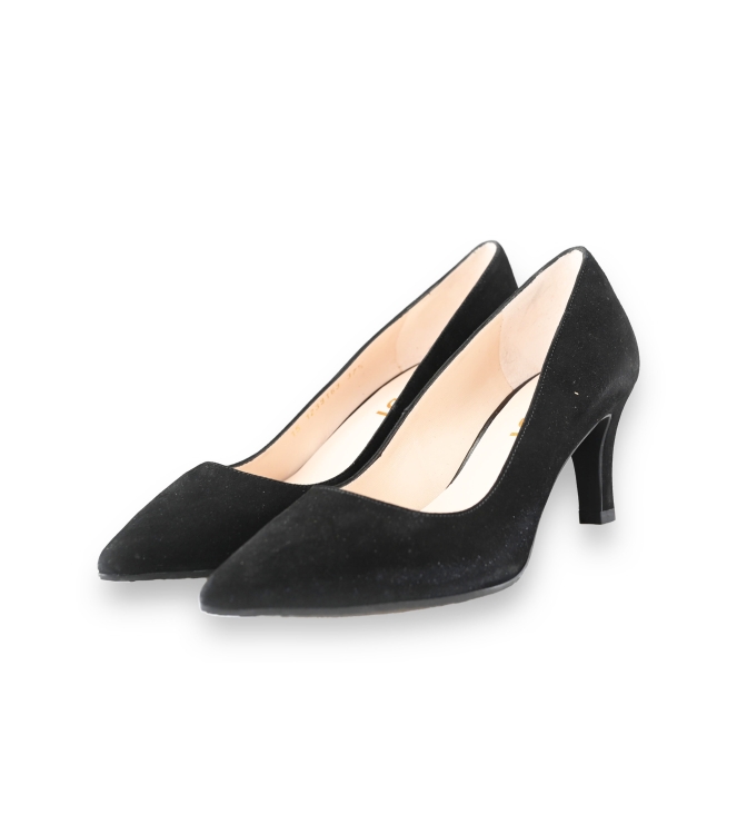 Lodi pumps