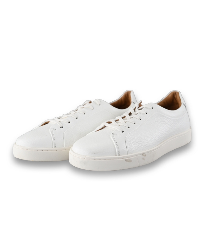 Steve Madden Sneaker