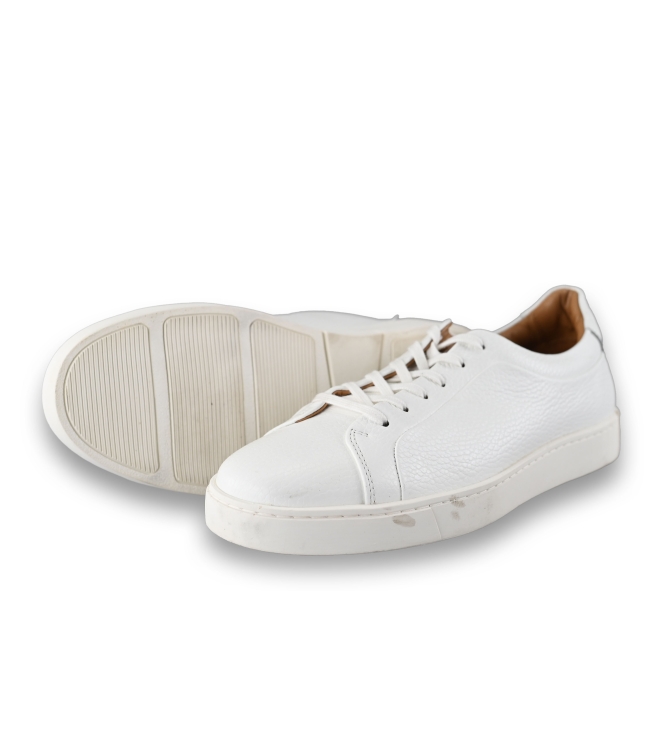 Steve Madden Sneaker