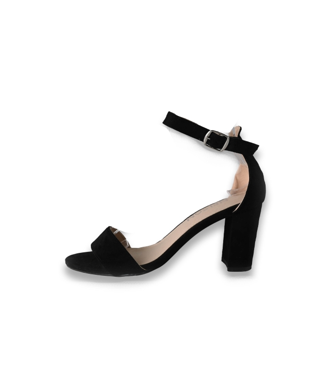 Nelson pumps
