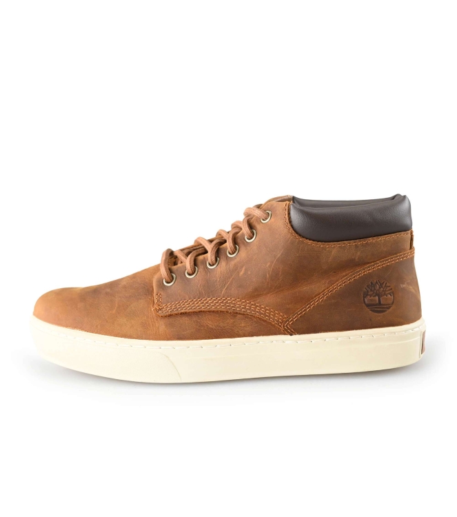 Timberland Sneaker