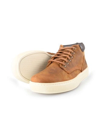 Timberland Sneaker