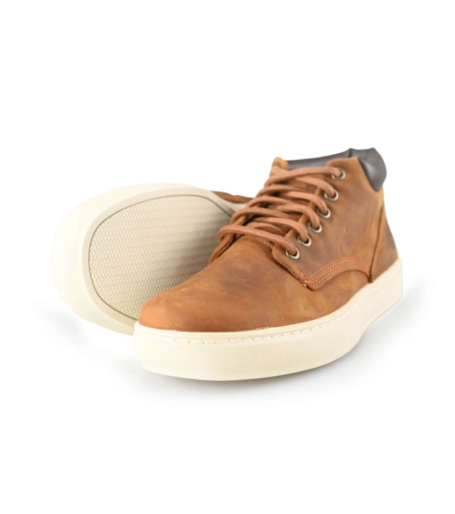 Timberland Sneaker