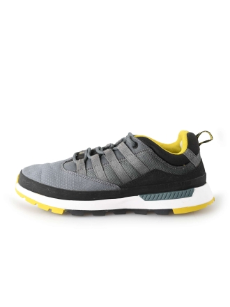 Timberland Sneaker Grau 203844