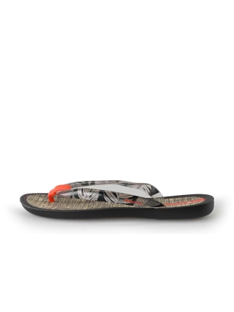 Ipanema Flip-Flops Grau 204147