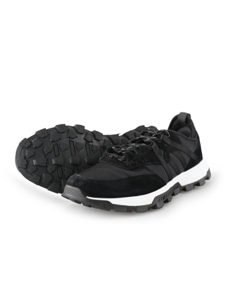 Timberland Sneaker