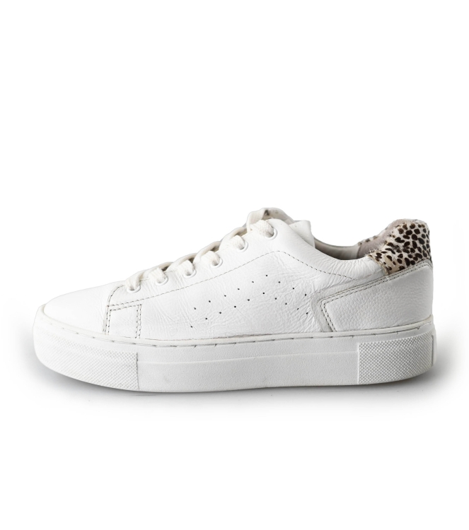 Cellini Sneaker