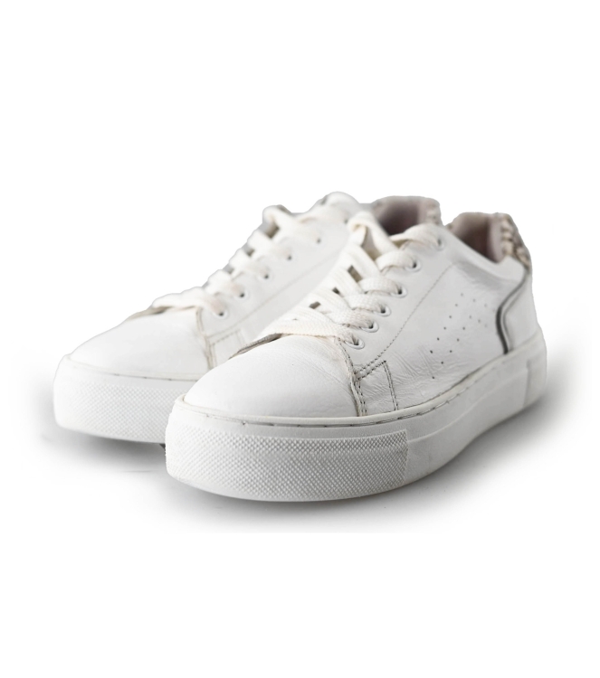 Cellini Sneaker