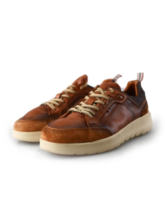 Ambitious Sneaker Braun 212833