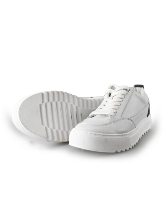 Invinci Sneaker