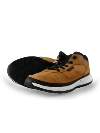 Timberland Sneaker