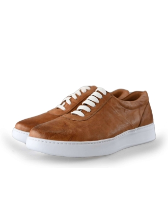 Paulo Bellini Sneaker Braun 215854