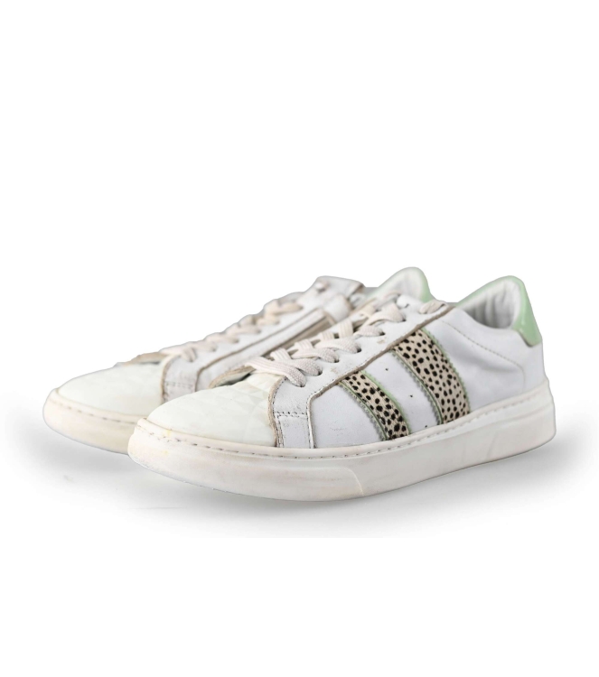 HIP Sneaker
