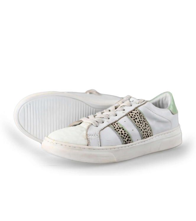 HIP Sneaker