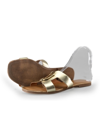 Notre-V Flip-Flops