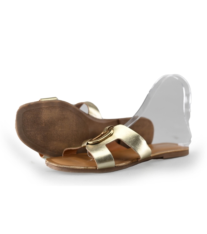 Notre-V Flip-Flops