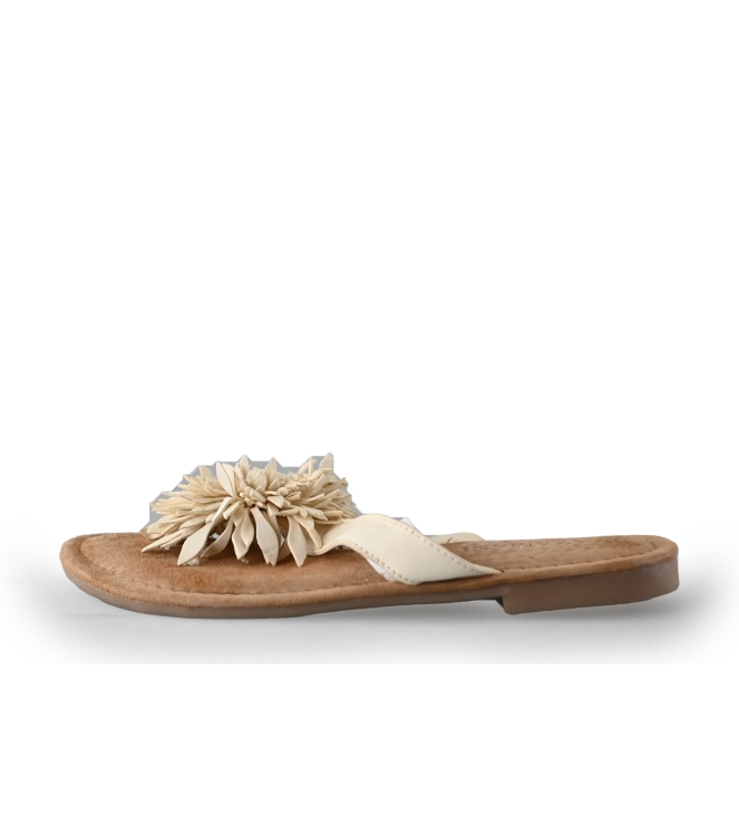 Lazamani Flip-Flops