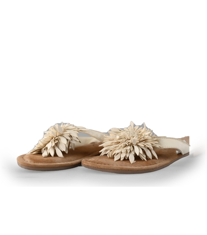 Lazamani Flip-Flops