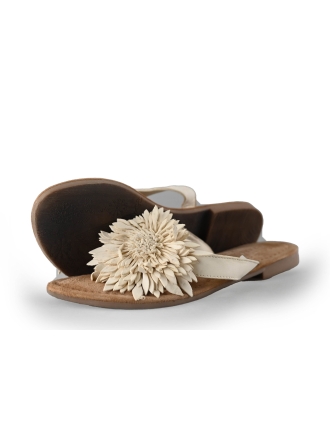 Lazamani Flip-Flops