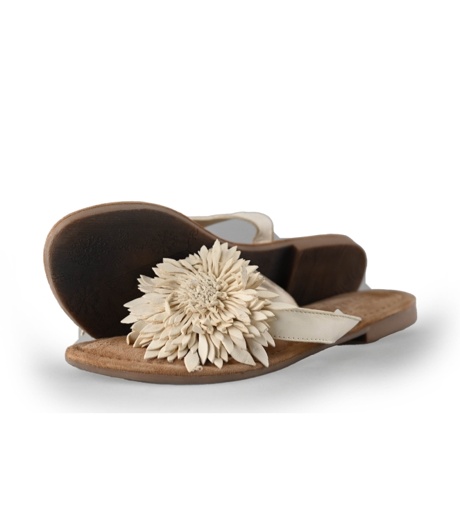 Lazamani Flip-Flops