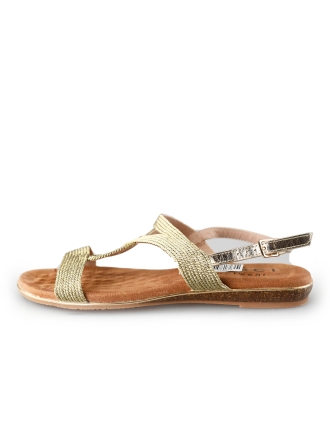 Flip-Flops