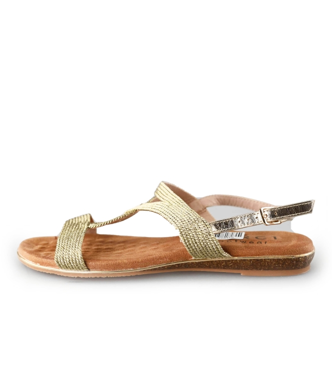 Flip-Flops