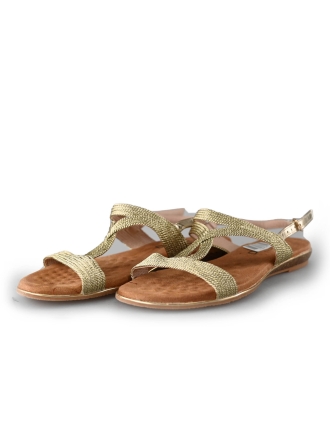 Flip-Flops