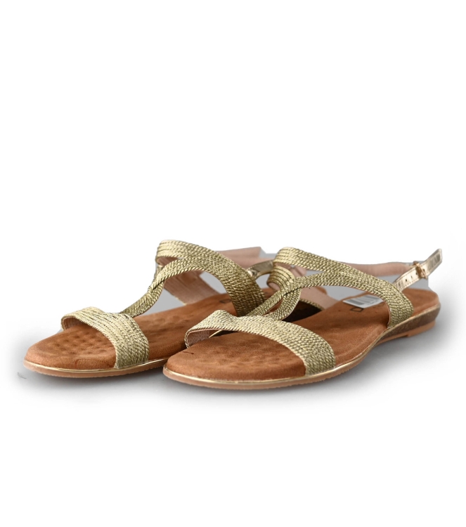 Flip-Flops