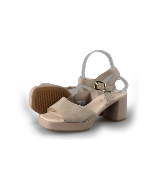 Gabor pumps