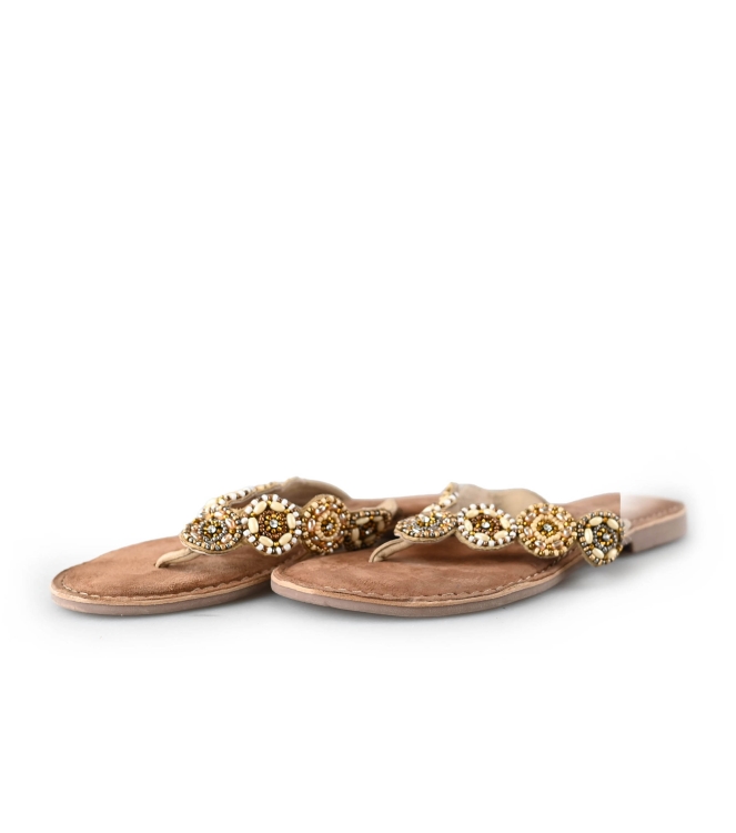 Lazamani Flip-Flops