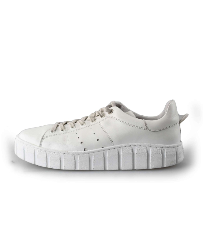 Tango Sneaker