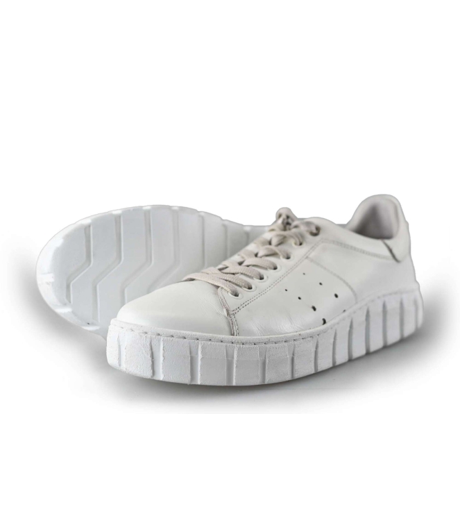 Tango Sneaker