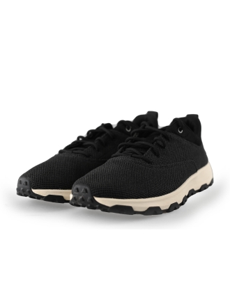 Timberland Sneaker Schwarz 214661