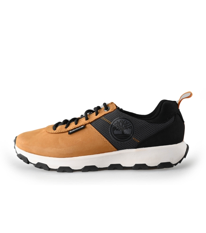 Timberland Sneaker