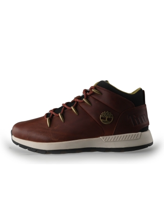 Timberland Sneaker
