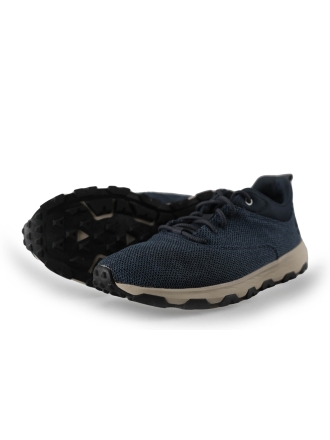 Timberland Sneaker