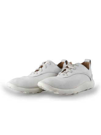 Timberland Sneaker