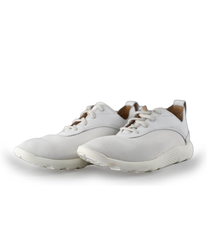 Timberland Sneaker