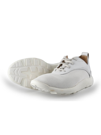 Timberland Sneaker