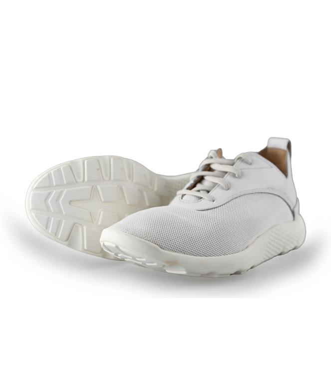 Timberland Sneaker