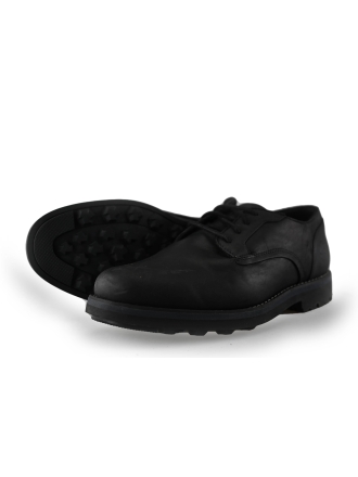 Timberland Sneaker