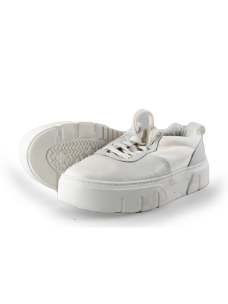 Timberland Sneaker