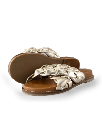 Notre-V Flip-Flops