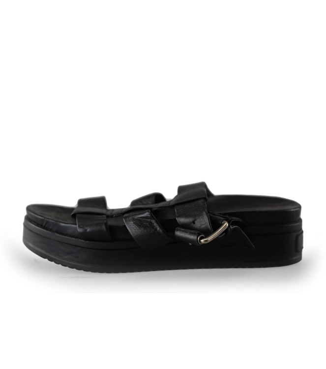 Shabbies Flip-Flops