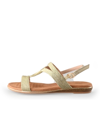 Dolcis Sneaker Gold 220023