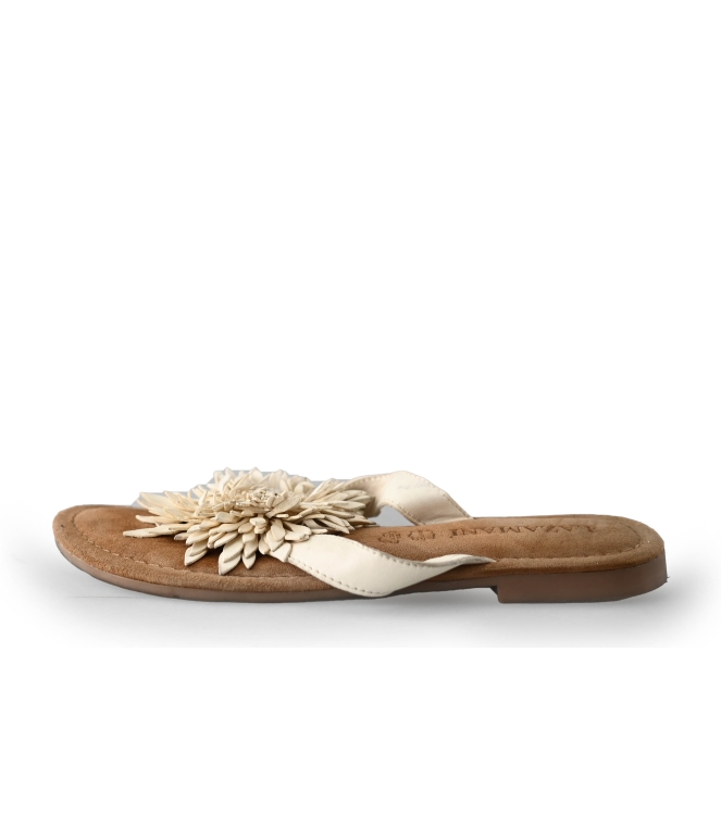 Lazamani Flip-Flops