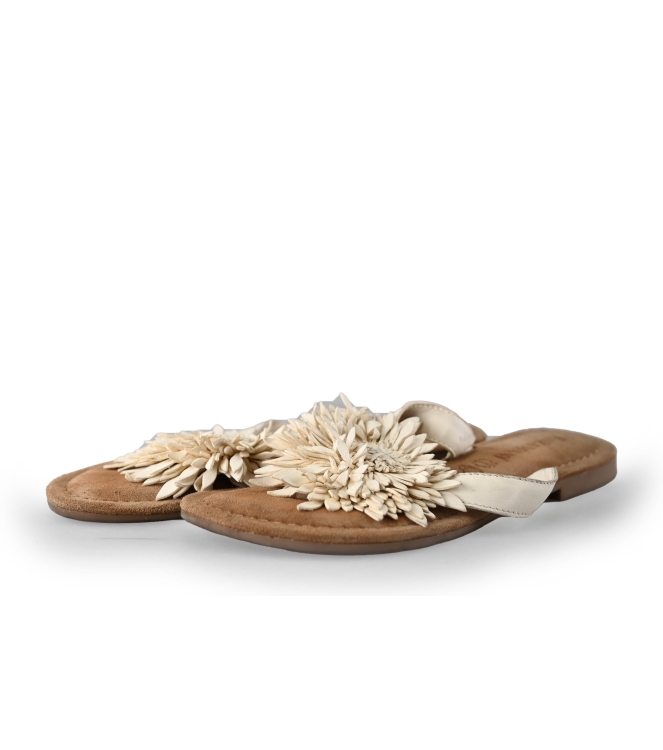 Lazamani Flip-Flops